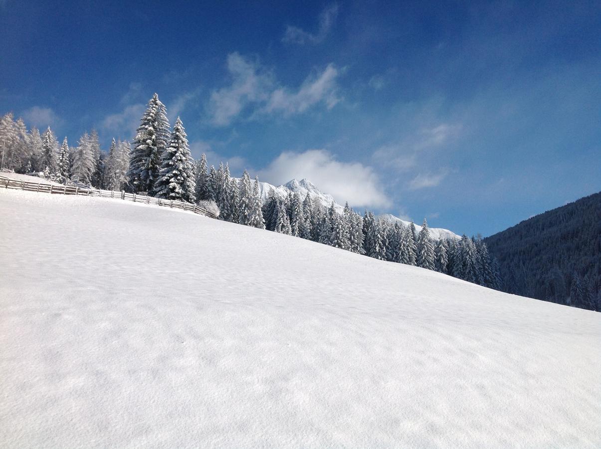 Biohof Hamann Villa Sarentino Dış mekan fotoğraf